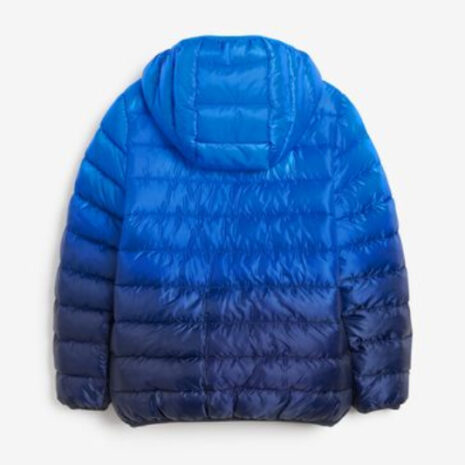 A09784s2.jpg A09784s2.jpg