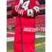 The-Nfc-Championship-Game-San-Francisco-49ers-Kristin-Juszczyk-Puffer-Coat.jpg
