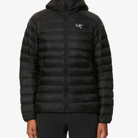 arcteryx-cerium-lt-padded-hooded-shell-down-jacket1.jpg arcteryx-cerium-lt-padded-hooded-shell-down-jacket1.jpg