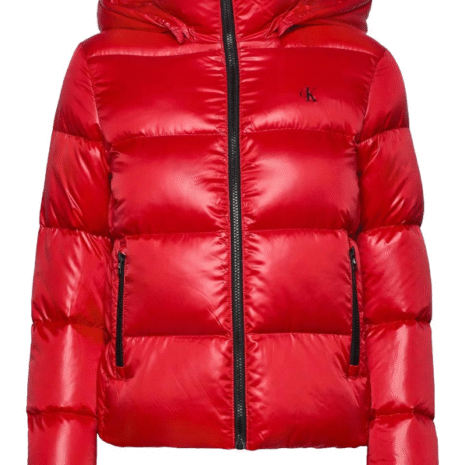 mens-puffer-red-jacket.png