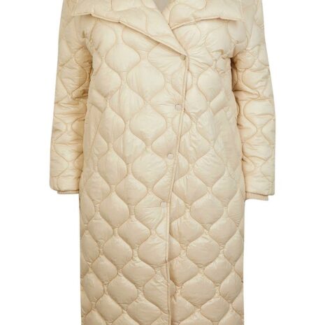 river-island-onion-quilted-puffer-coat2.jpeg