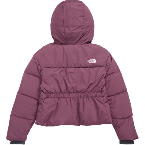 the-north-face-dealio-city-water-repellent-550-fill-power-down-jacket.jpeg the-north-face-dealio-city-water-repellent-550-fill-power-down-jacket.jpeg