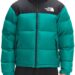 the-north-face-mens-nuptse-1996-packable-quilted-down-jacket.jpeg