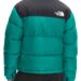 the-north-face-mens-nuptse-1996-packable-quilted-down-jacket3.jpeg