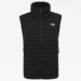 the-north-face-mens-stretch-down-vest.png