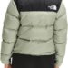 the-north-face-nuptse-1996-quilted-jacket1.jpeg
