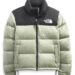 the-north-face-nuptse-1996-quilted-jacket2.jpeg