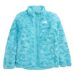 the-north-face-transantar-reversible-puffer-jacket1.jpeg